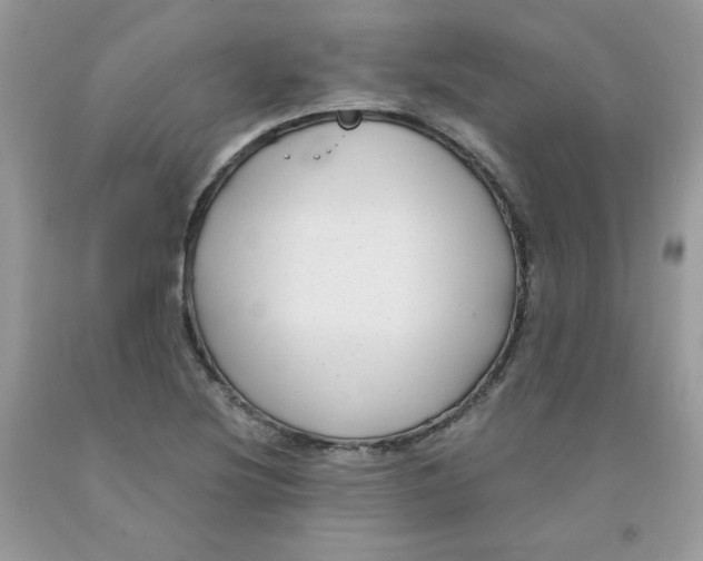 X0000091701220200709141053