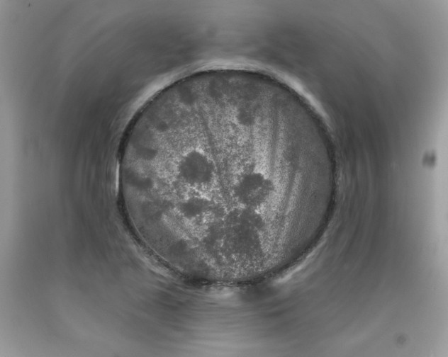 X0000091701221200709141053