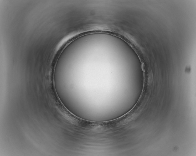 X0000091701222200709141053