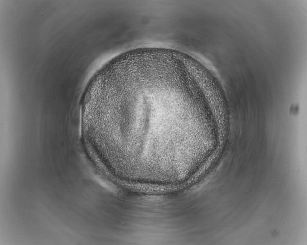 X0000091701223200709141053