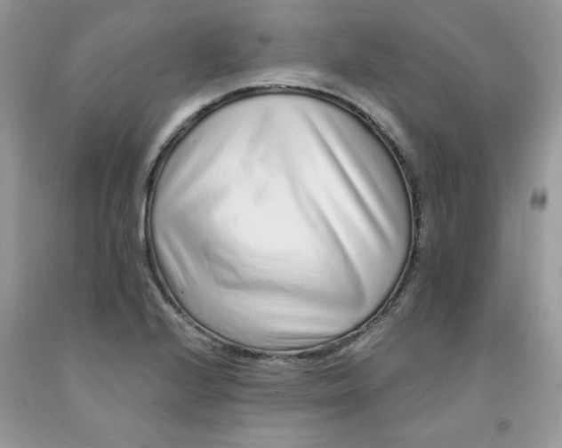 X0000091701224200709141053