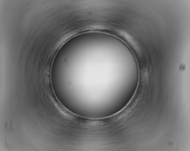 X0000091701225200709141053