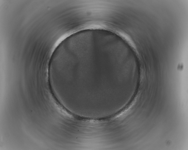 X0000091701226200709141053