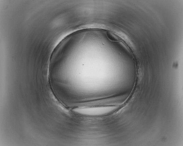 X0000091701228200709141053