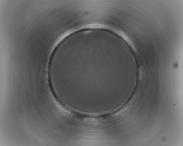 X0000091701229200709141053