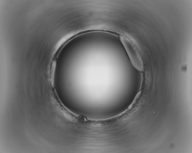 X0000091701230200709141053