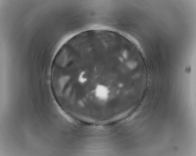 X0000091701231200709141053