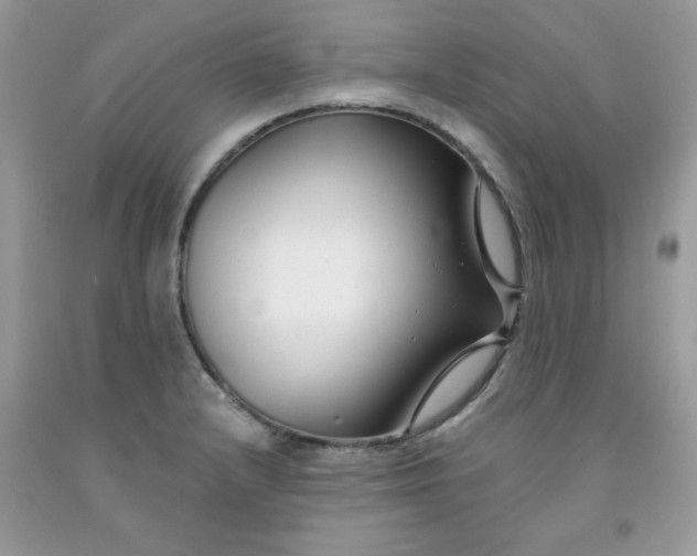 X0000091701232200709141053