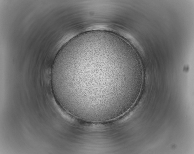 X0000091701233200709141053