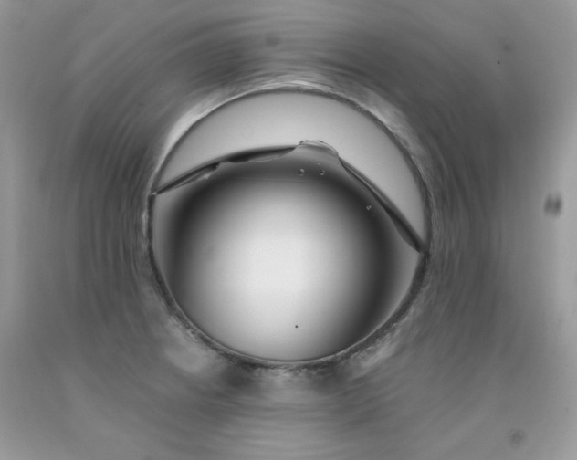 X0000091701234200709141053