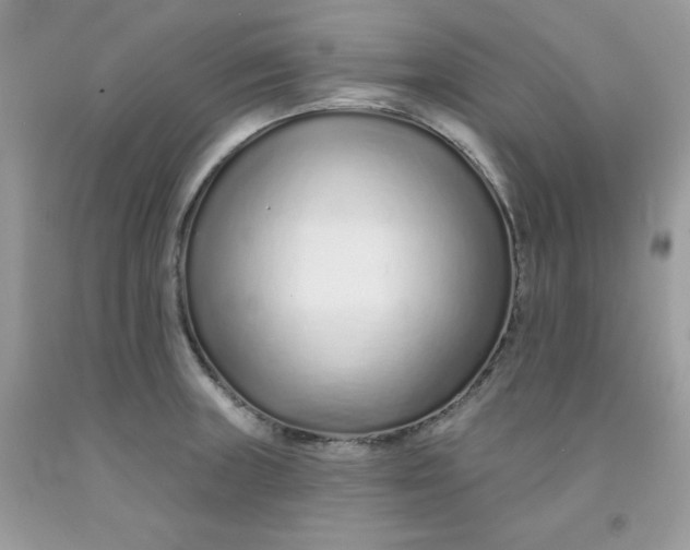 X0000091701235200709141053