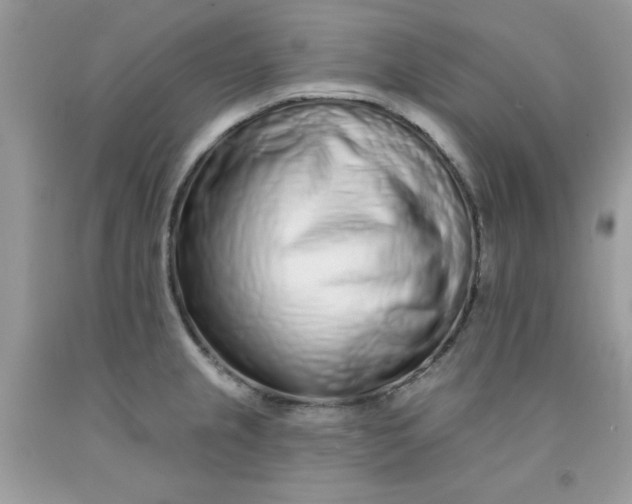 X0000091701237200709141053