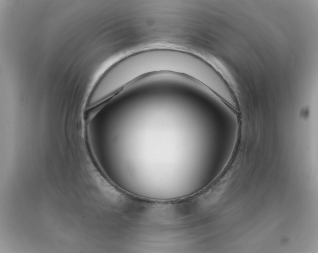 X0000091701238200709141053