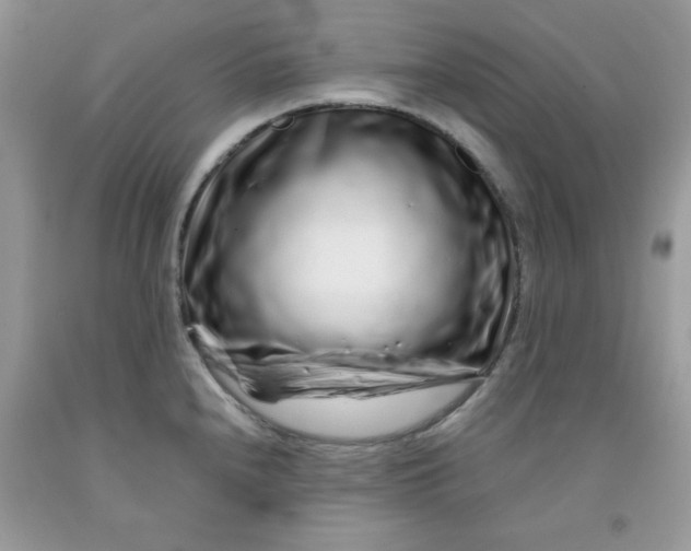 X0000091701240200709141053