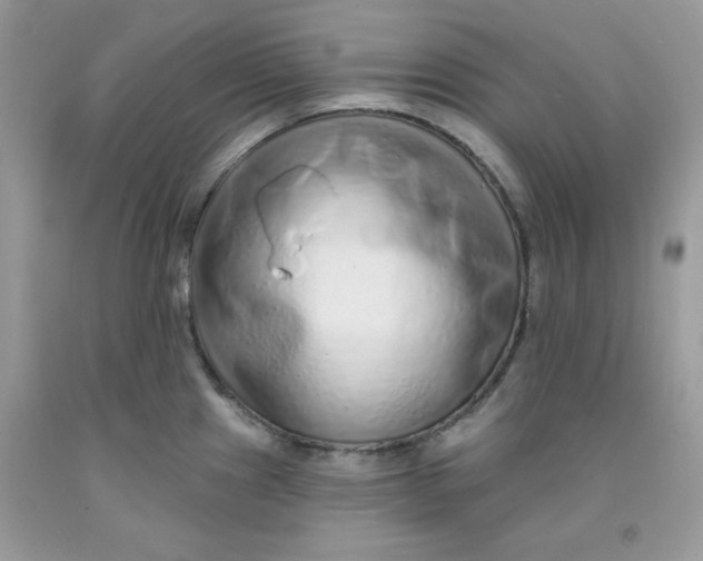 X0000091701241200709141053