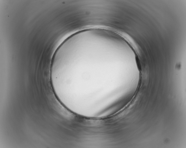 X0000091701244200709141053