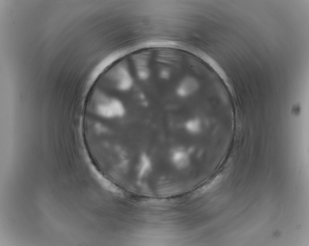 X0000091701245200709141053