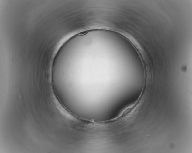 X0000091701246200709141053