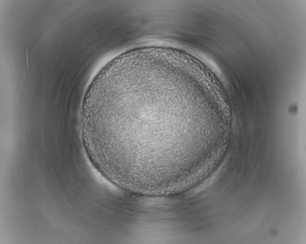 X0000091701247200709141053