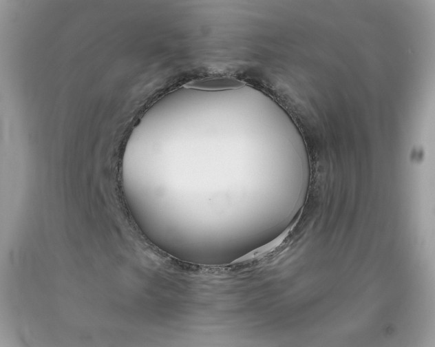 X0000091701249200709141052