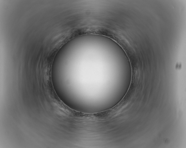 X0000091701250200709141052