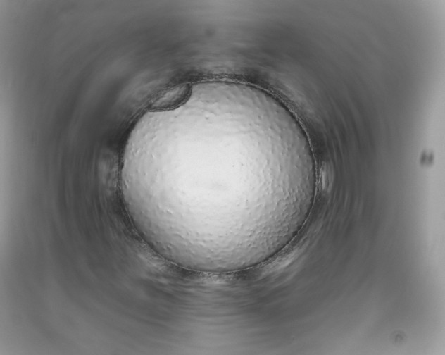 X0000091701251200709141052