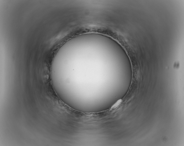 X0000091701253200709141052