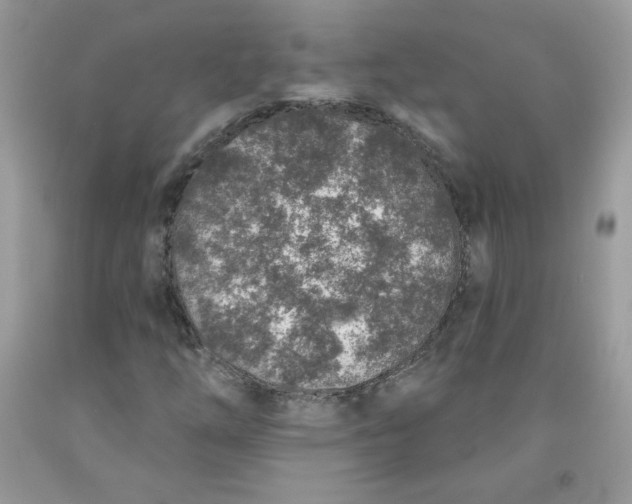 X0000091701254200709141052