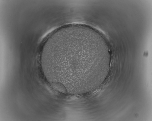 X0000091701255200709141052