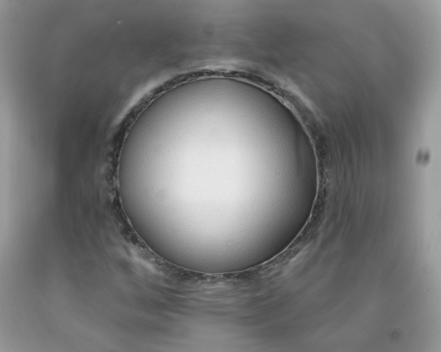 X0000091701256200709141052