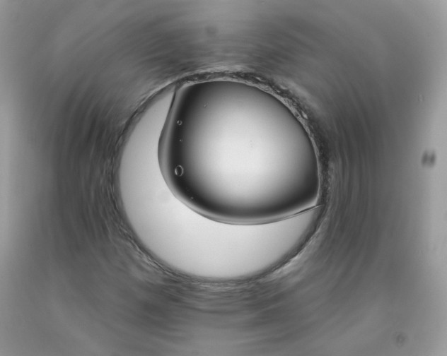 X0000091701257200709141052