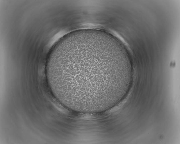 X0000091701259200709141052