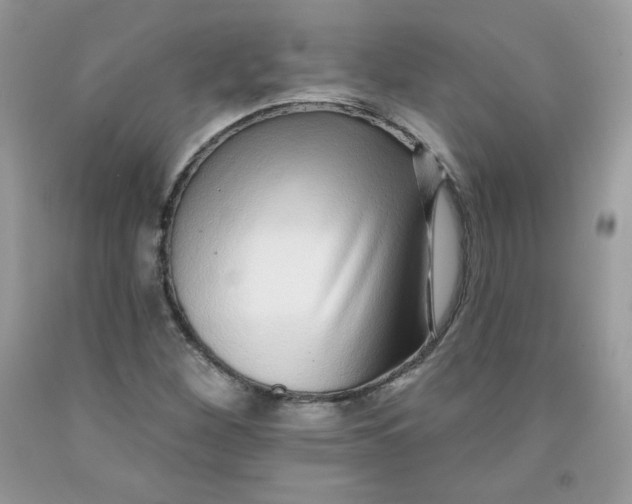 X0000091701260200709141052