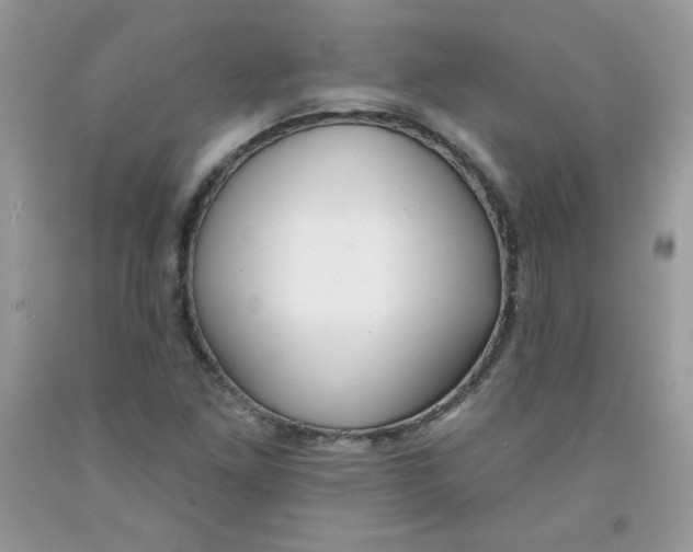 X0000091701261200709141052