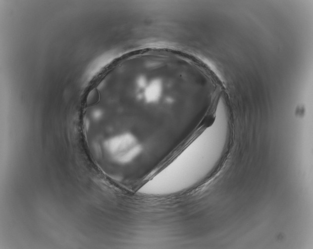 X0000091701263200709141052