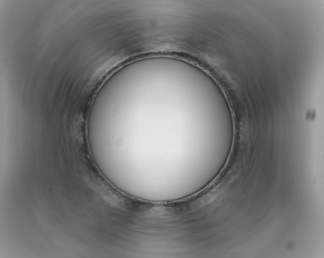 X0000091701265200709141052