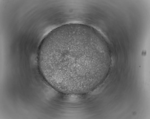 X0000091701266200709141052