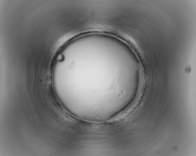 X0000091701267200709141052