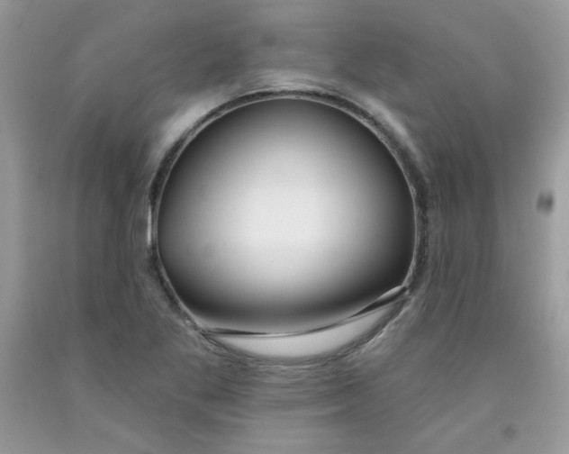 X0000091701269200709141052