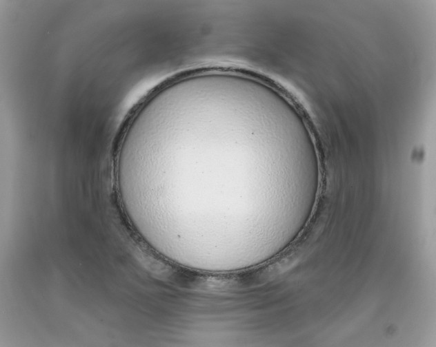 X0000091701271200709141052