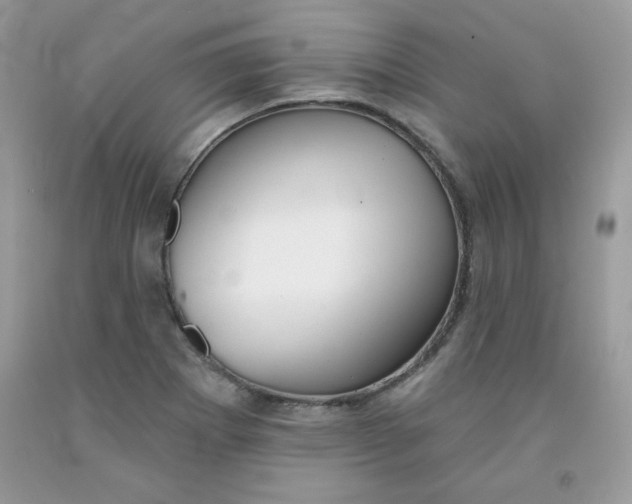 X0000091701273200709141052