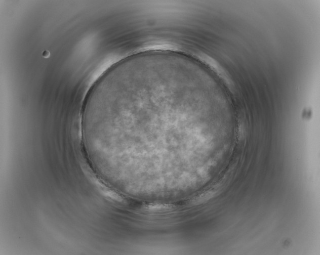 X0000091701274200709141052