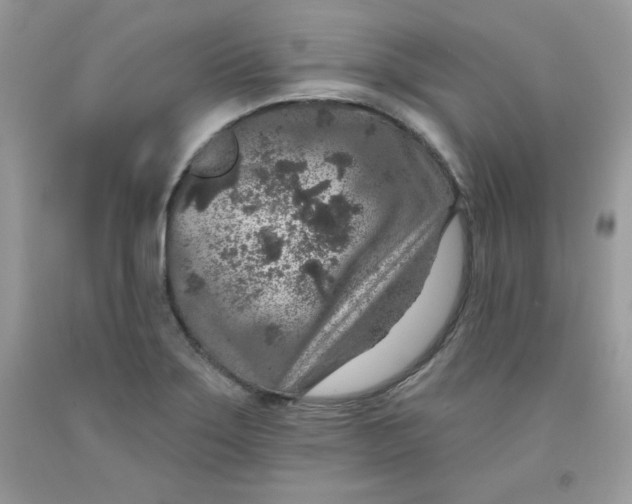 X0000091701275200709141052