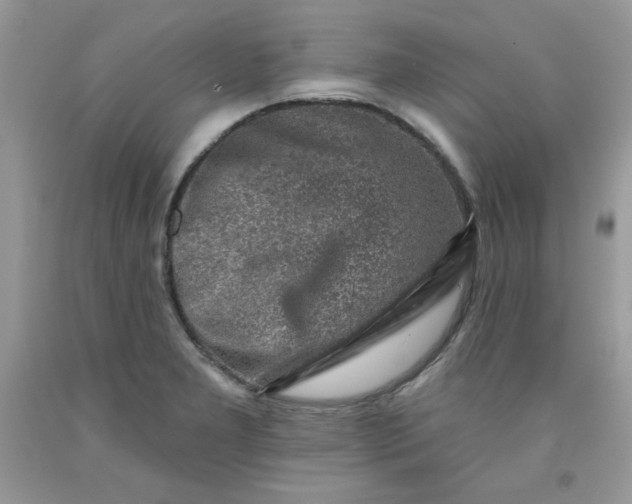 X0000091701277200709141052