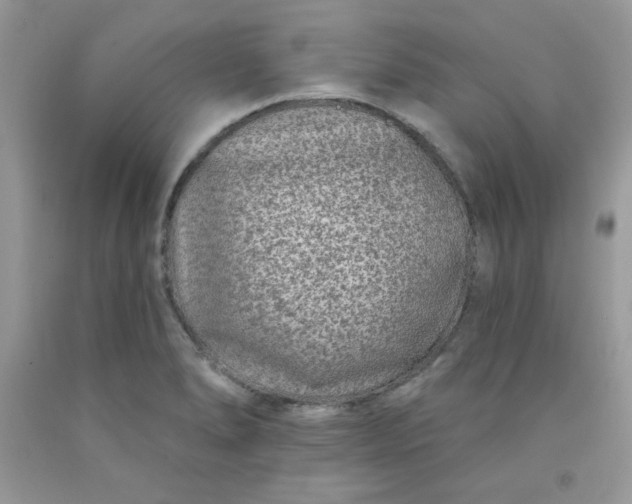 X0000091701278200709141052