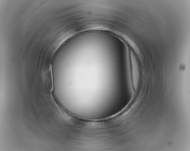 X0000091701281200709141052