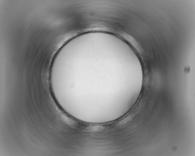 X0000091701282200709141052