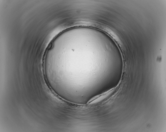 X0000091701283200709141052