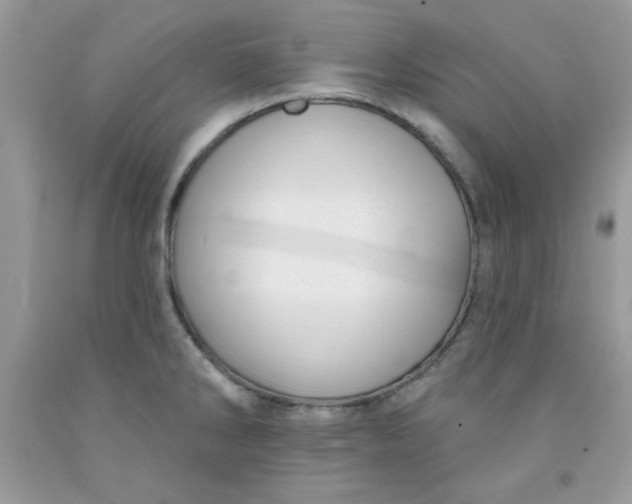 X0000091701286200709141052