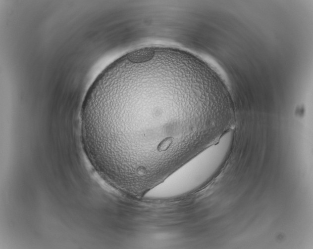 X0000091701287200709141052